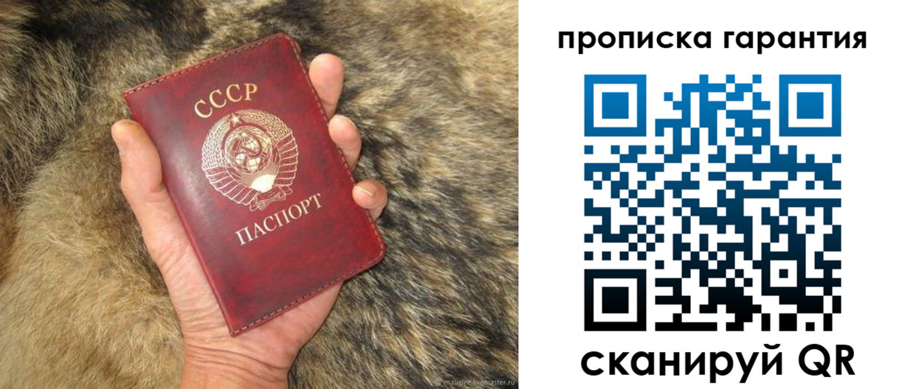 временная регистрация гарантия в Сальске